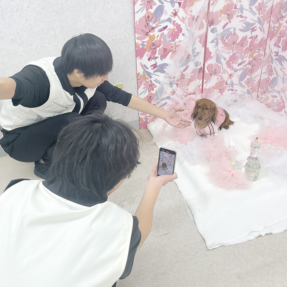 モデル犬の写真撮影会PART②